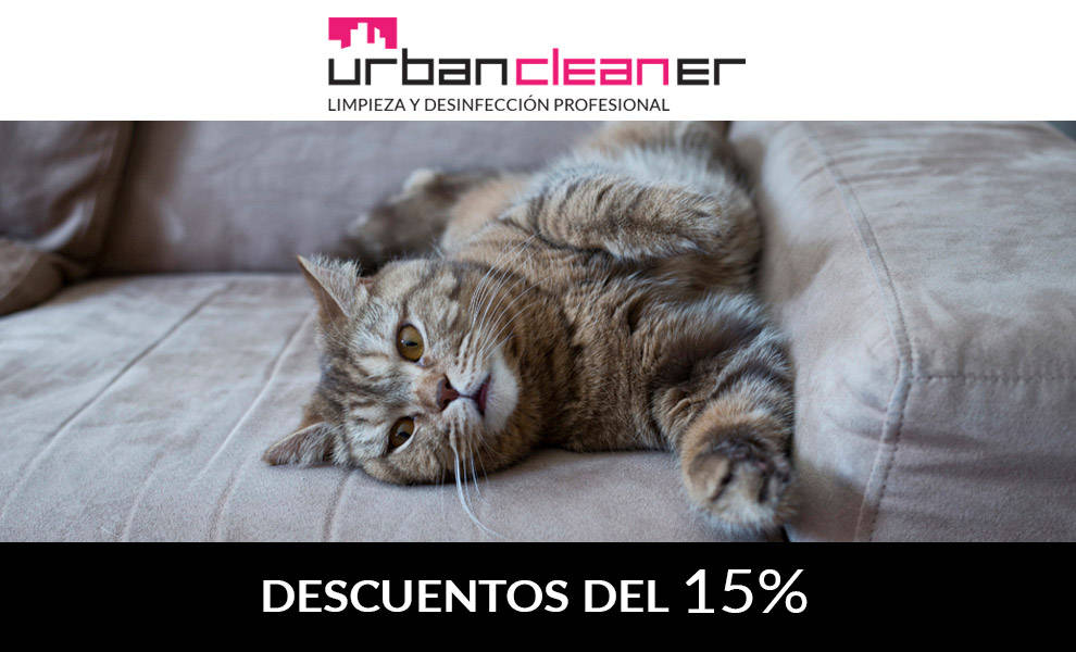 Limpieza Antiácaros en Sevilla