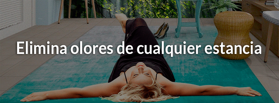 Banner higienización ozono